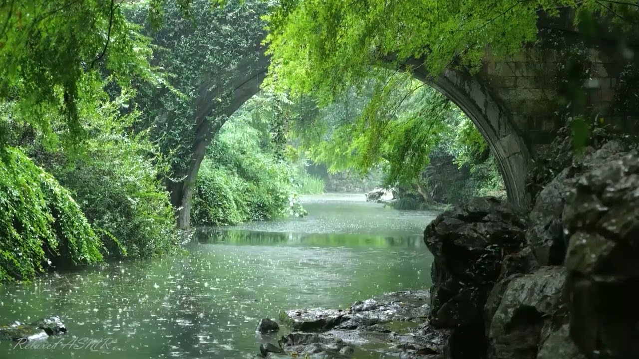 Lluvia sobre el rio mientras cantan las aves: Música de la naturaleza